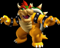 Bowser NSMB